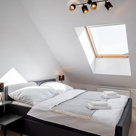 Daire New Cozy In Heart Of Free Garage Parking