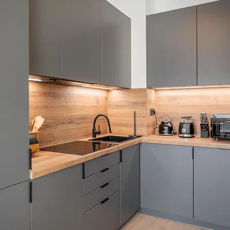 New Cozy In Heart Of Free Garage Parking Daire Bratislava